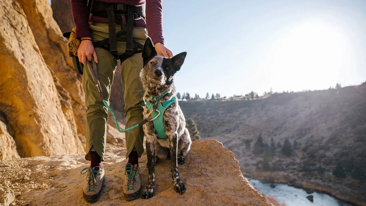 Knot-a-Long Rope Dog Leash