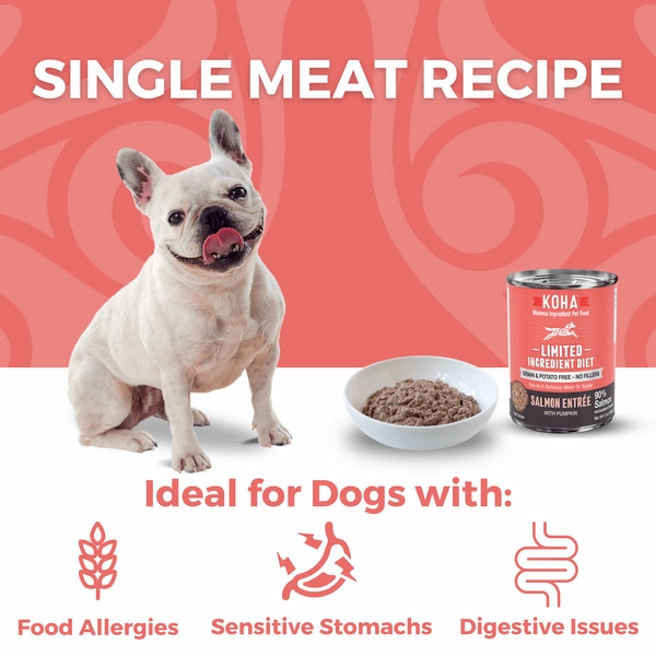 KOHA LID Salmon Entre Canned Dog Food