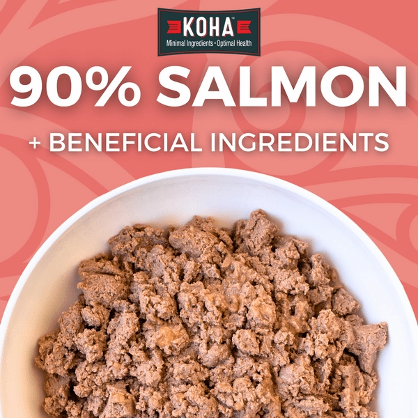 KOHA LID Salmon Entre Canned Dog Food