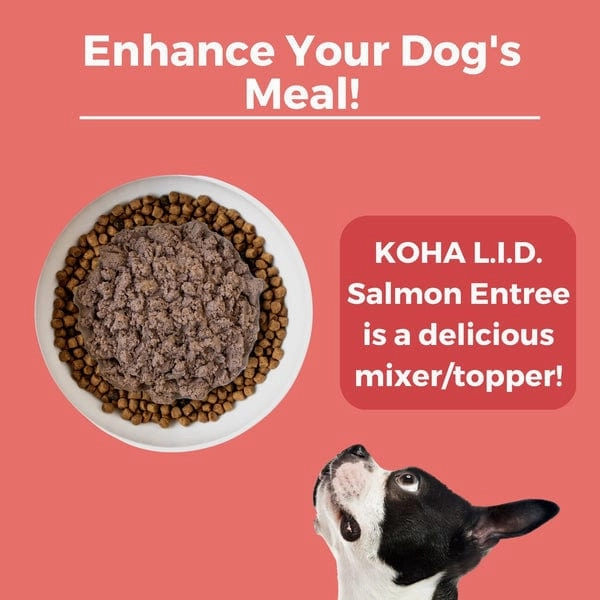KOHA LID Salmon Entre Canned Dog Food
