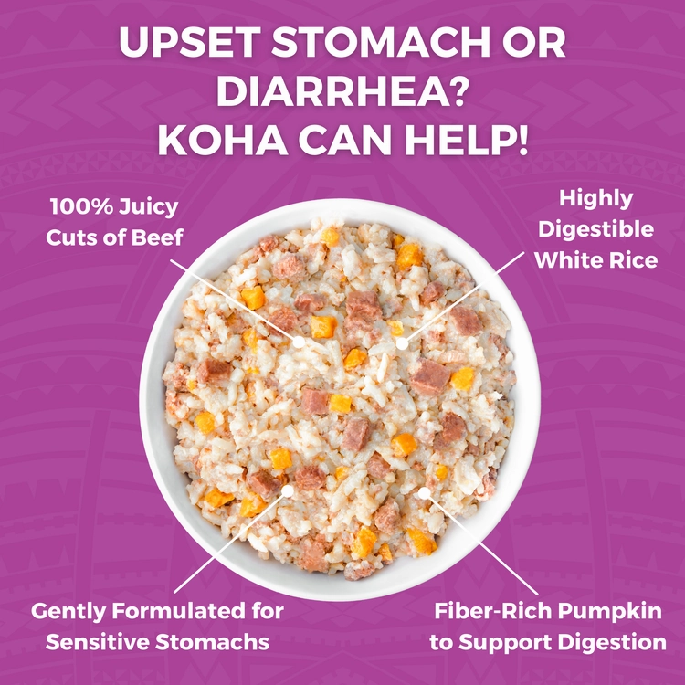 KOHA Limited Ingredient Bland Diet Beef & White Rice Recipe Wet Dog Food Pouch