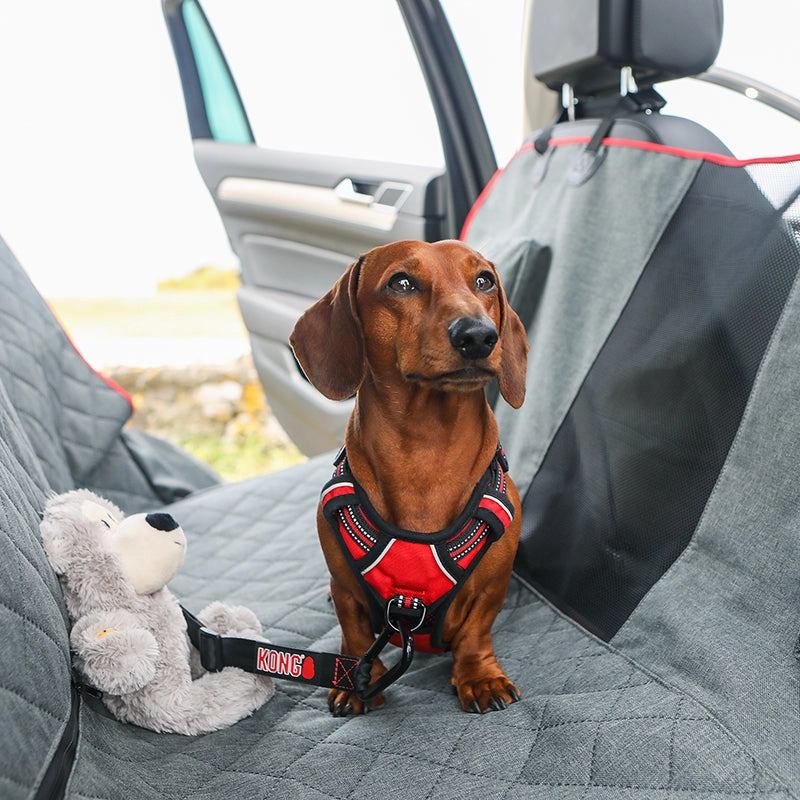KONG - 2-In-1 Bench Seat Cover & Hammock