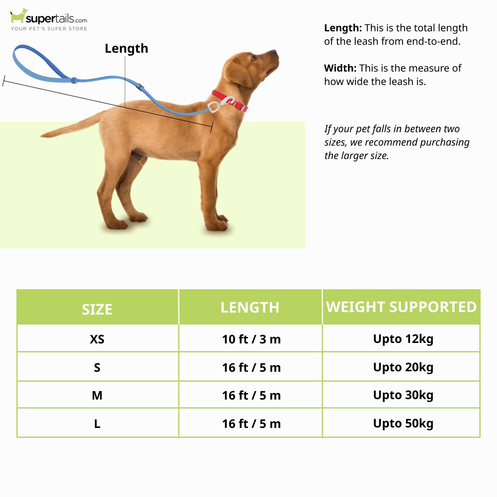 Kong Terrain Retractable Leash for Dogs and Cats (Blue)