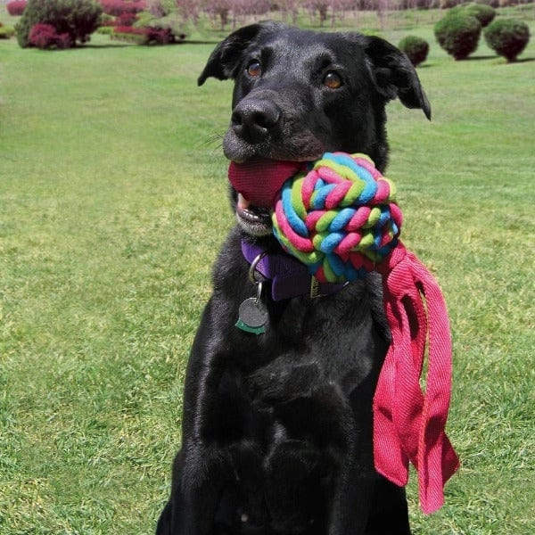 KONG Wubba Weaves Dog Toy