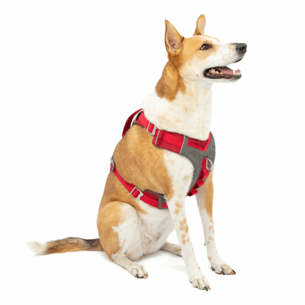 Kurgo Journey Air Harness for Dogs (Barn Red)