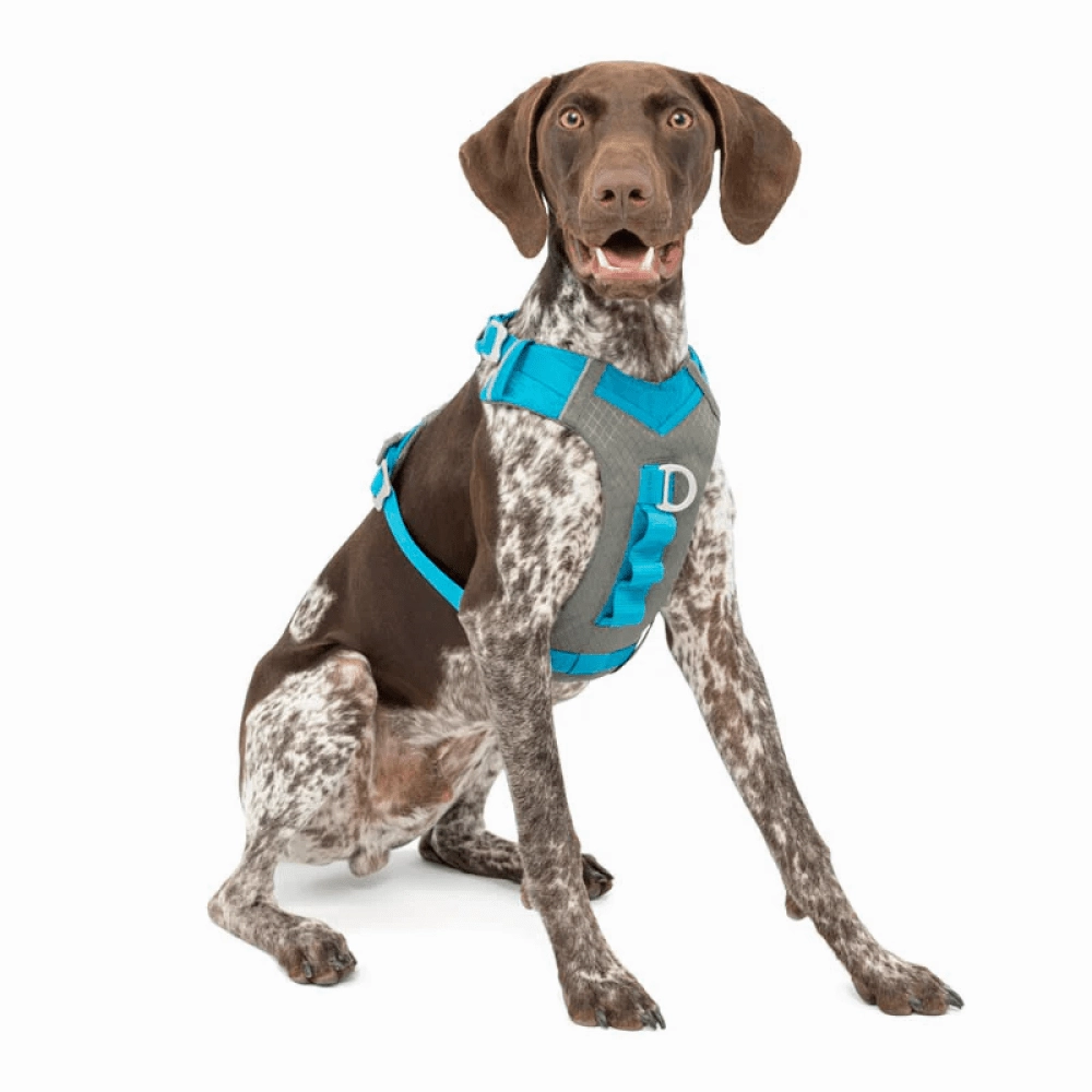 Kurgo Journey Air Harness for Dogs (Coastal Blue)