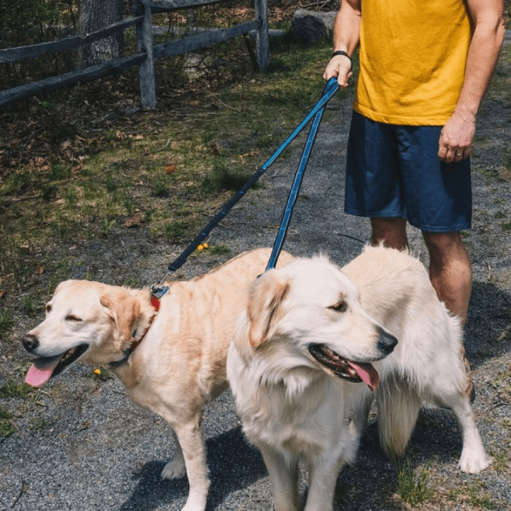 Kurgo Quantum 6 in 1 Dog Leash (Barn Red)