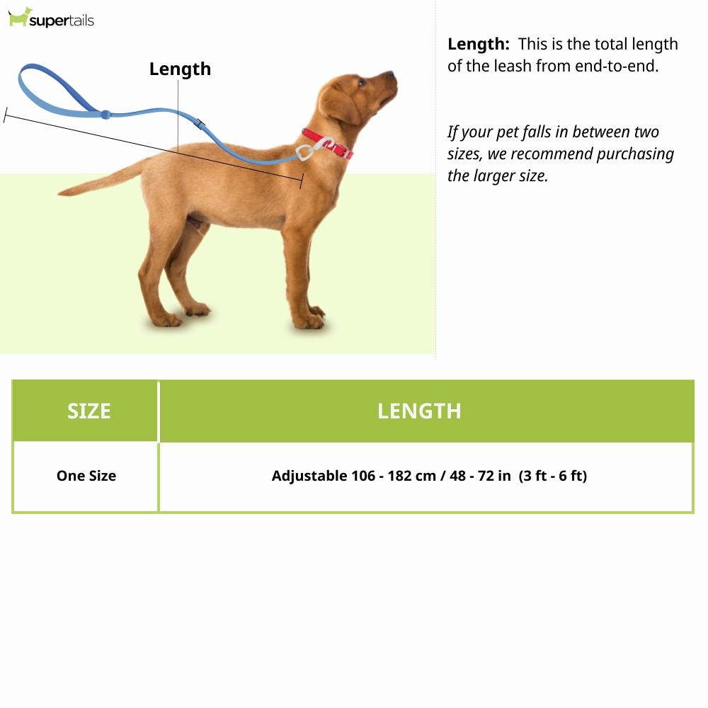 Kurgo Quantum 6 in 1 Dog Reflective Leash (Coastal Blue)