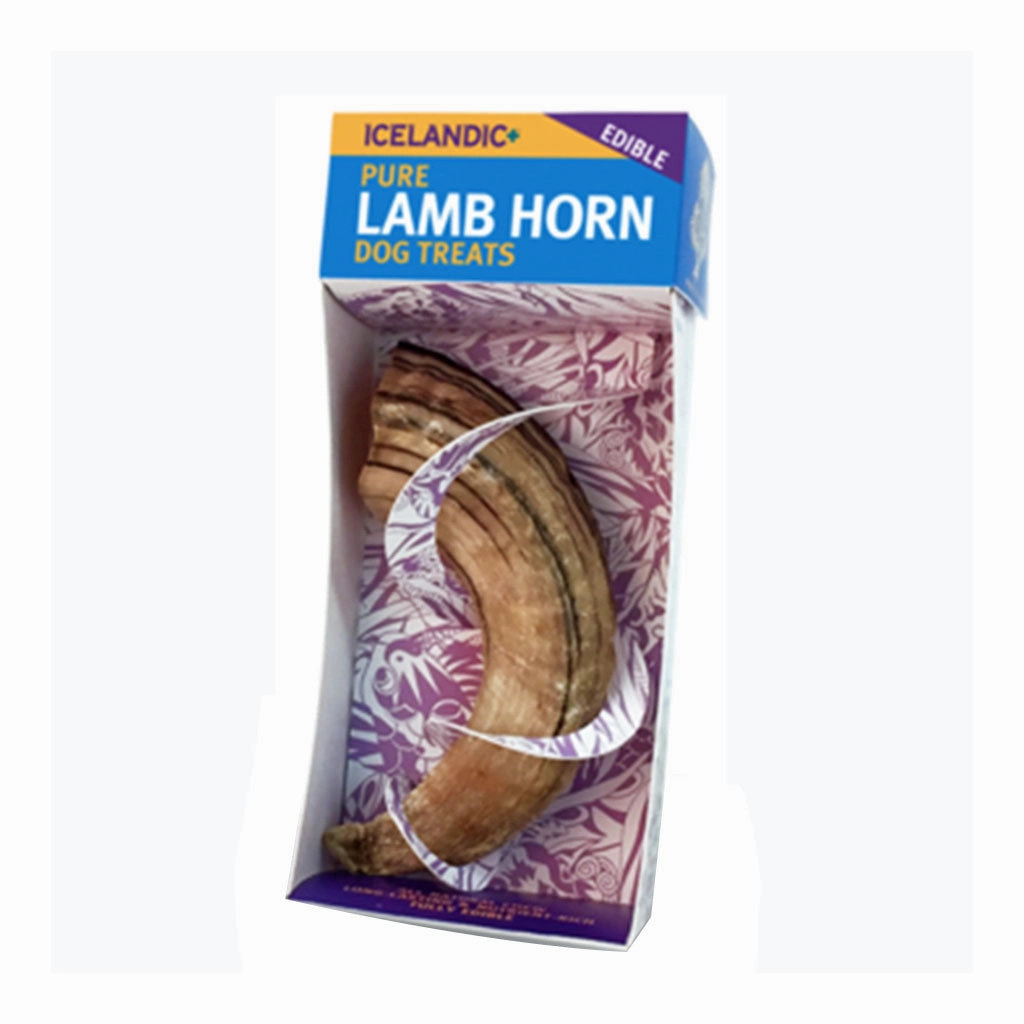 Lamb Horn