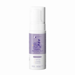 Lavender Waterless Sha