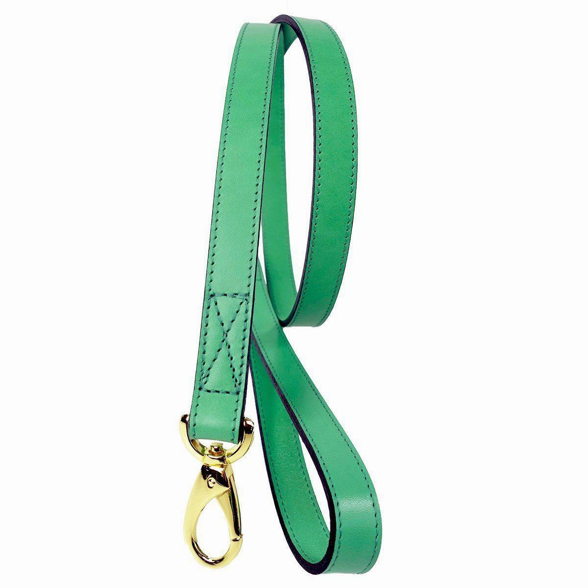 Leap Frog Collection Dog Leash Kelly Green