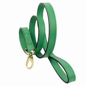 Leap Frog Collection Dog Leash Kelly Green
