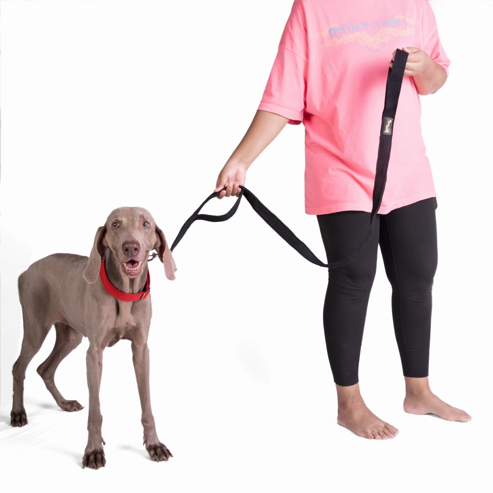 Let's Wag Double Handle Fabric Leash for Dogs (Black)