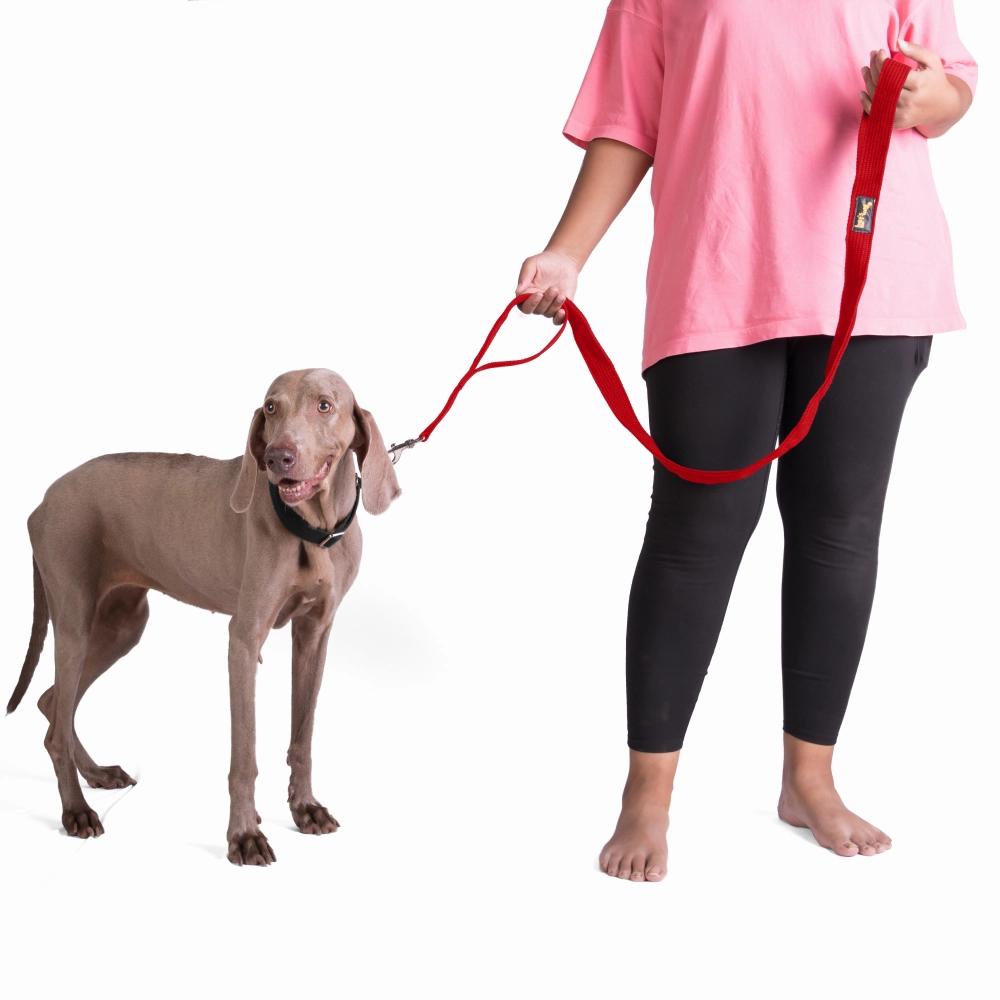 Let's Wag Double Handle Fabric Leash for Dogs (Red)