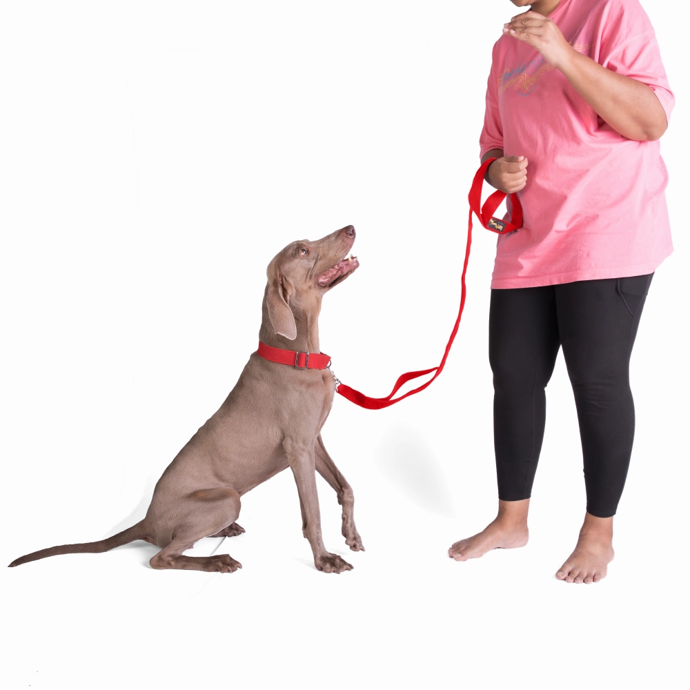 Let's Wag Double Handle Fabric Leash for Dogs (Red)