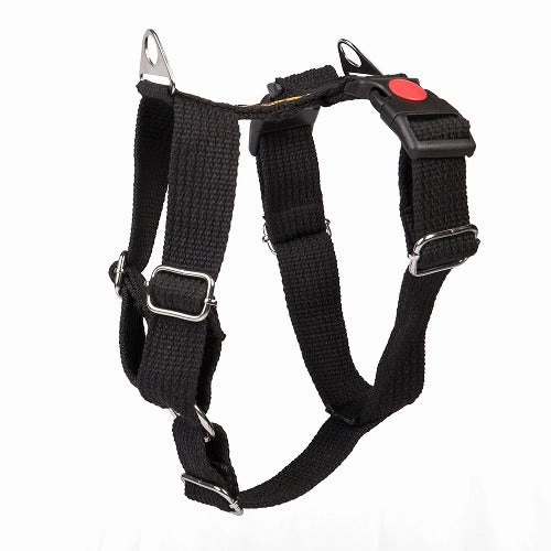 Let's Wag H Harness for Dogs (Black)