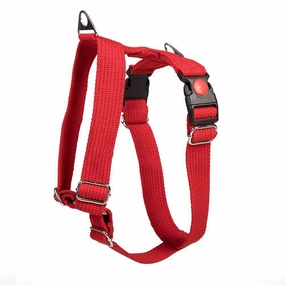 Let's Wag H Harness for Dogs (Red)
