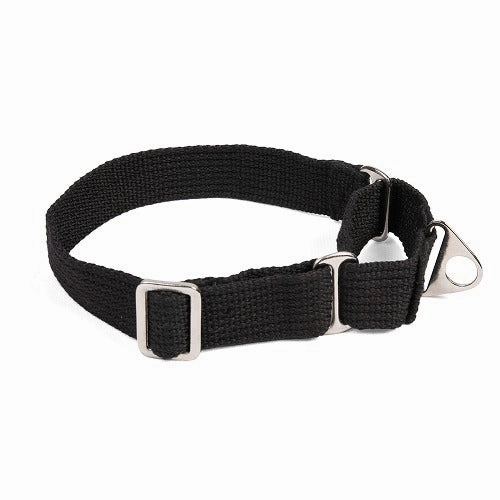 Let's Wag Martingale Collar for Dogs (Black)