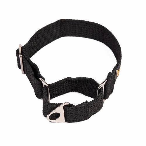 Let's Wag Martingale Collar for Dogs (Black)