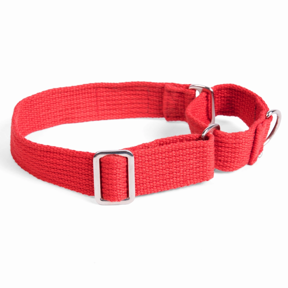 Let's Wag Martingale Collar for Dogs (Red)