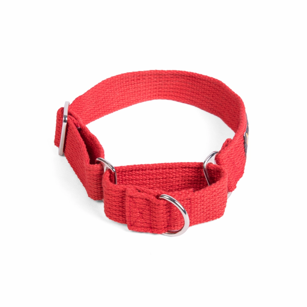 Let's Wag Martingale Collar for Dogs (Red)