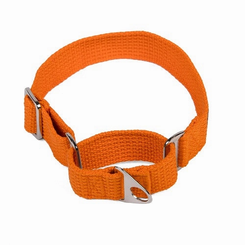 Let's Wag Martingale Fabric Collar for Dogs (Orange)