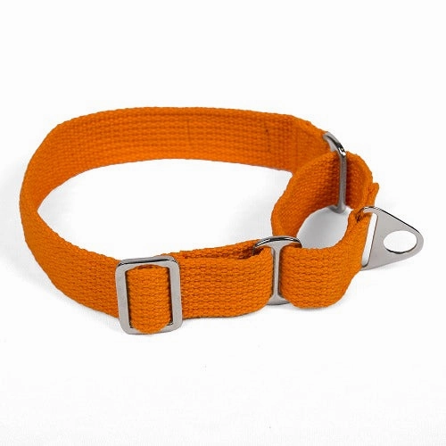 Let's Wag Martingale Fabric Collar for Dogs (Orange)