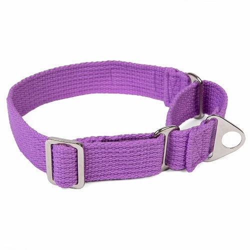 Let's Wag Martingale Fabric Collar for Dogs (Purple)