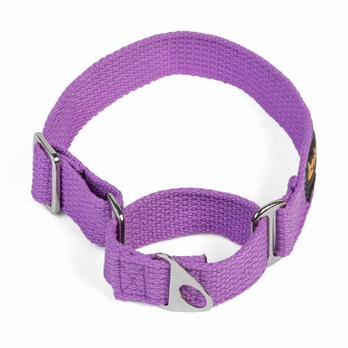 Let's Wag Martingale Fabric Collar for Dogs (Purple)