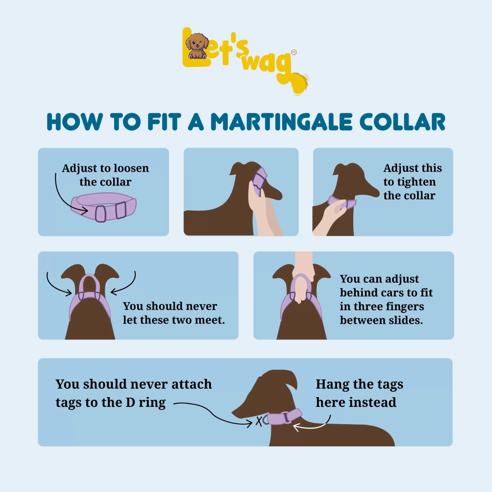 Let's Wag Martingale Fabric Collar for Dogs (Purple)