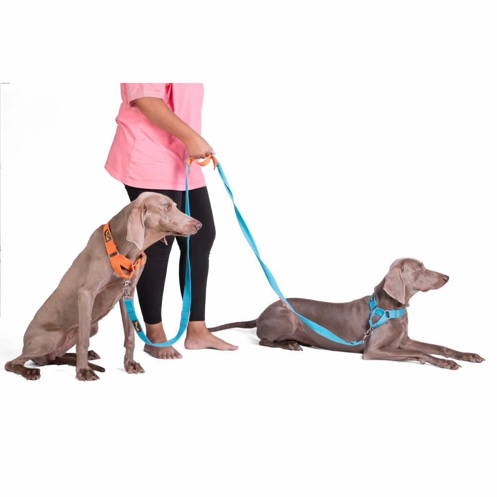 Let's Wag Multi Purpose Leash for Dogs (Cobalt Blue)