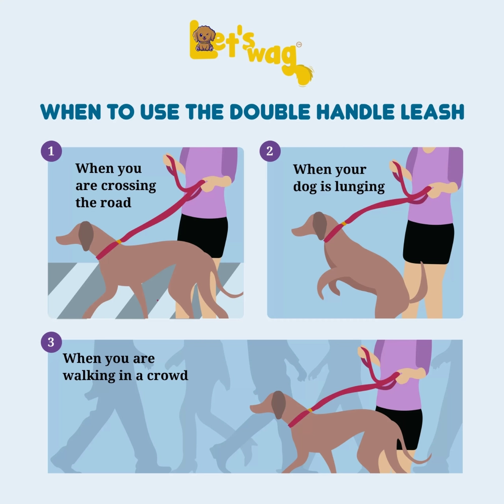 Let's Wag Multi Purpose Leash for Dogs (Cobalt Blue)