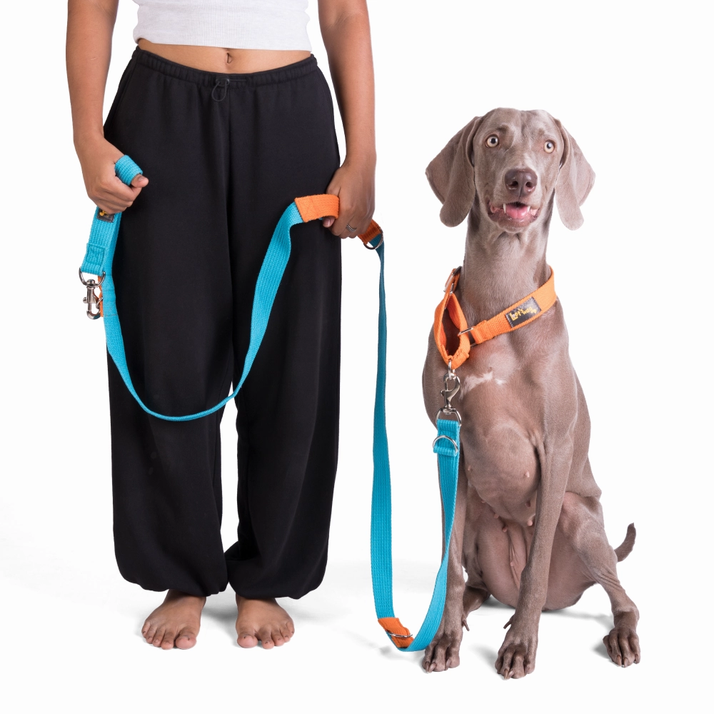 Let's Wag Multi Purpose Leash for Dogs (Cobalt Blue)