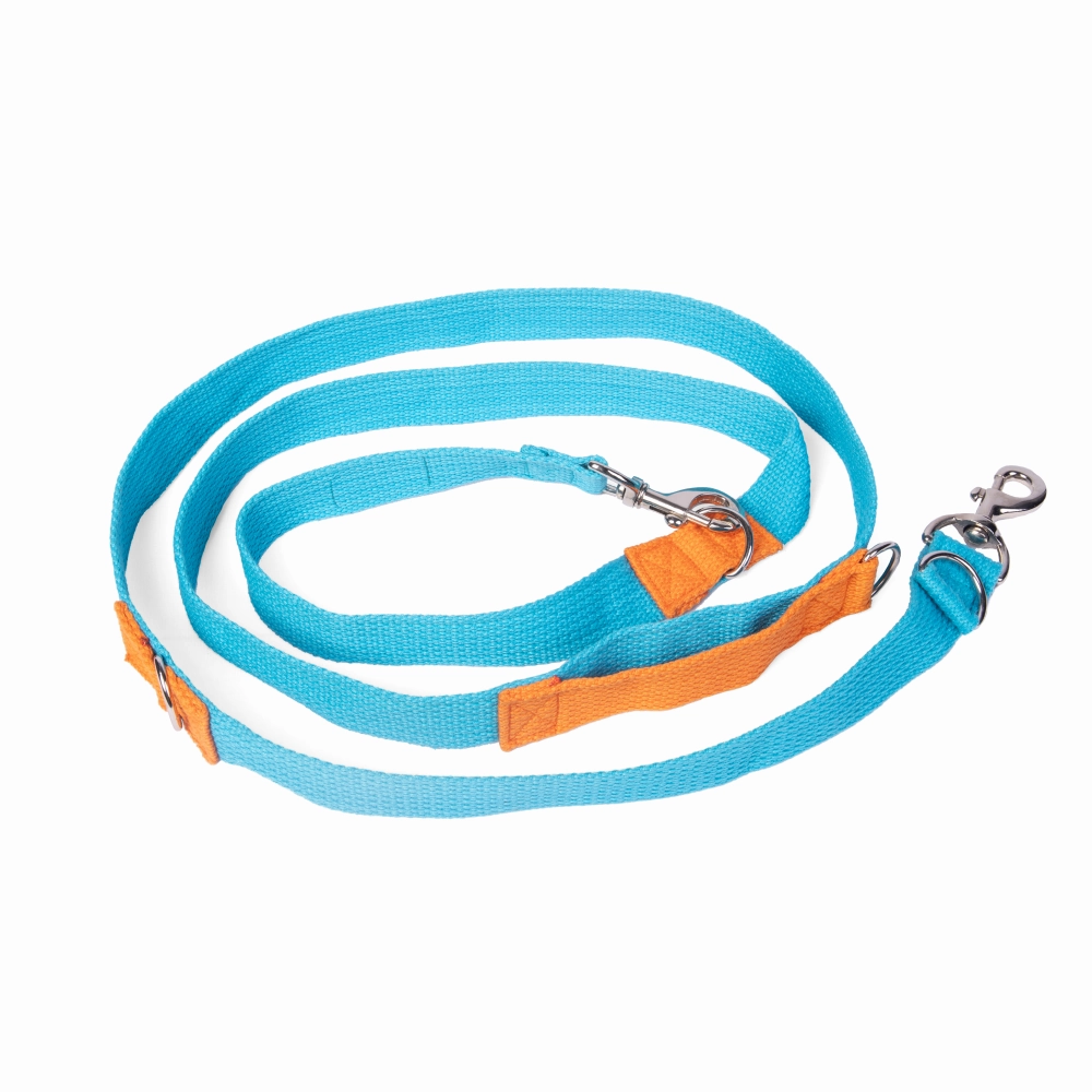 Let's Wag Multi Purpose Leash for Dogs (Cobalt Blue)