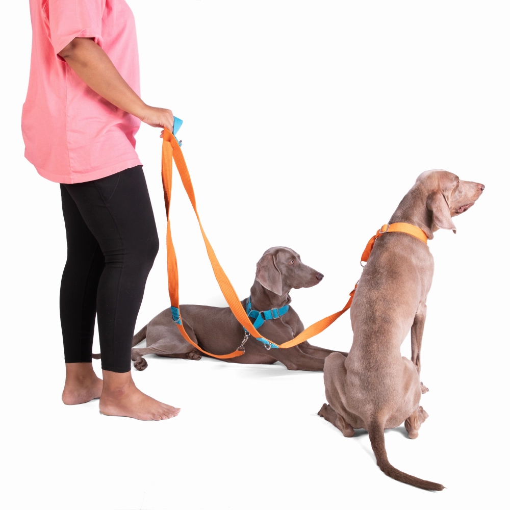 Let's Wag Multi Purpose Leash for Dogs (Orange)