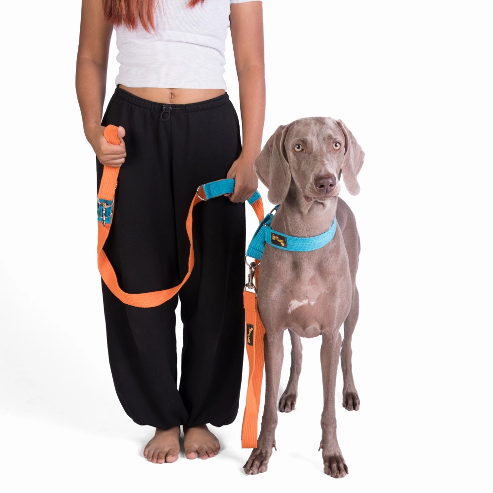 Let's Wag Multi Purpose Leash for Dogs (Orange)