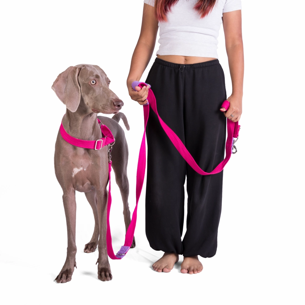 Let's Wag Multi Purpose Leash for Dogs (Pink)