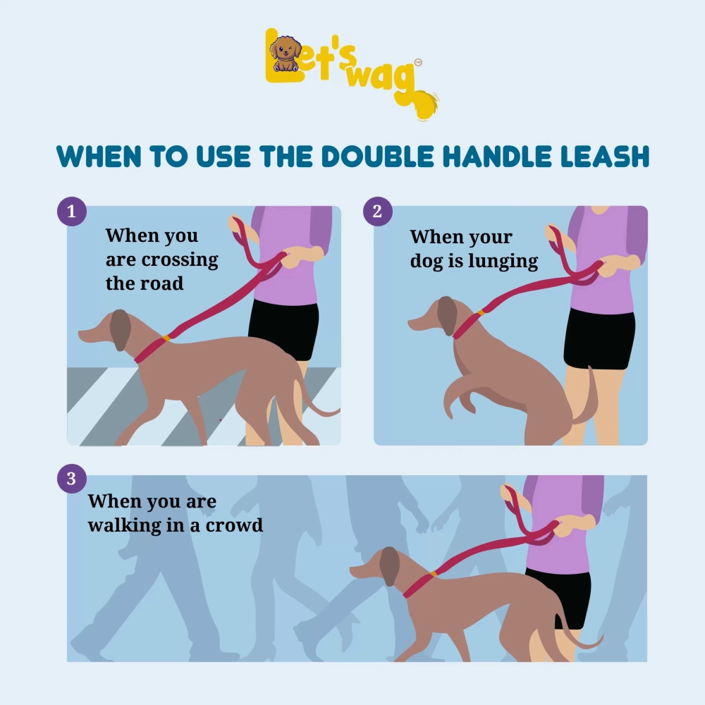 Let's Wag Multi Purpose Leash for Dogs (Pink)
