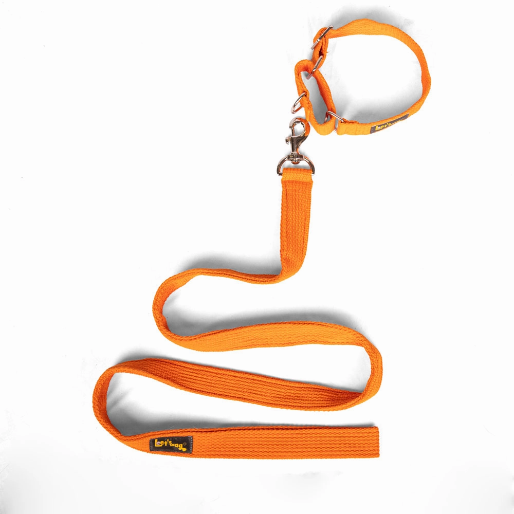 Let's Wag Single Handle Fabric Leash for Dogs (Orange)