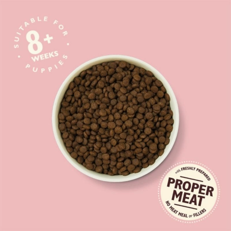 Lily's Kitchen - Dry Food For Dogs - Chicken & Salmon Dry Food for Puppies 2.5kg