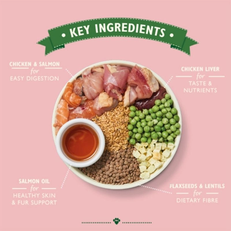 Lily's Kitchen - Dry Food For Dogs - Chicken & Salmon Dry Food for Puppies 2.5kg