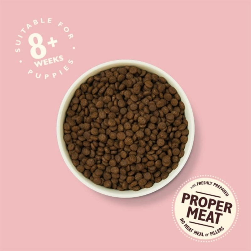 Lily's Kitchen - Dry Food For Dogs - Chicken & Salmon Dry Food for Puppies 2.5kg