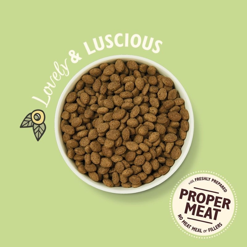 Lily's Kitchen - Dry Food For Dogs - Lamb Dry Food