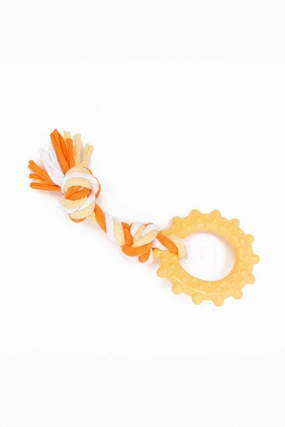 Little and Lively Sun Ring and Rope Dog Toy