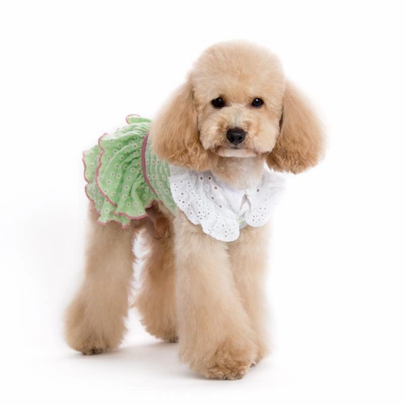 Little Flower Dog Dress