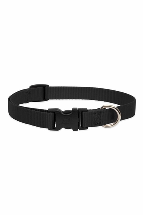 LupinePet Basic Solids Black Dog Collar