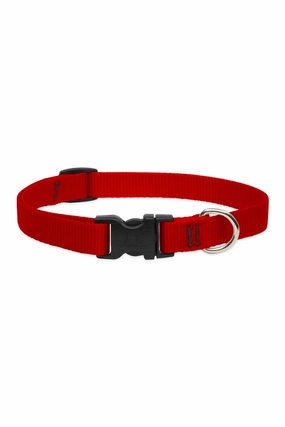 LupinePet Basic Solids Red Dog Collar