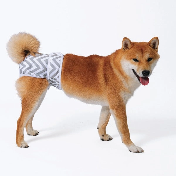 M-PETS Female Washable Diaper