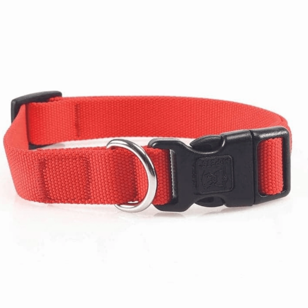 M Pets Jolly Eco Collar for Dogs (Red)