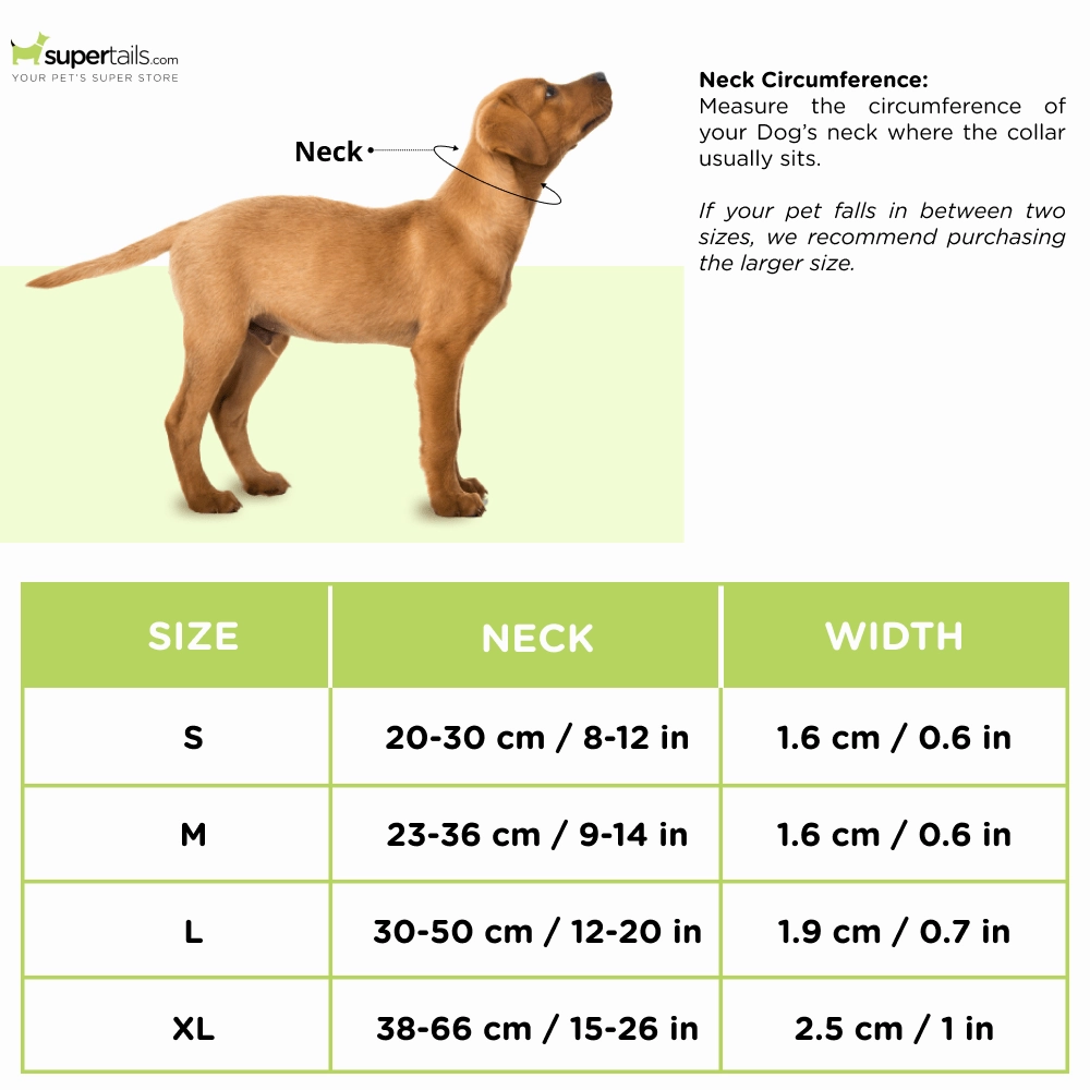 M Pets Jolly Eco Collar for Dogs (Red)